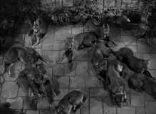 The-Most-Dangerous-Game-1932-stills-26