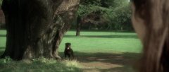 The-Omen-1976-stills-10