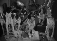 Palm-Beach-Story-1942-stills-21