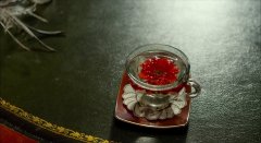 The-Silenced-2015-stills-11