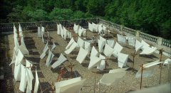 The-Silenced-2015-stills-16