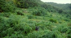 The-Silenced-2015-stills-18