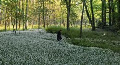 The-Taste-of-Things-2023-stills-047