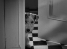 The-Thin-Man-1934-stills-22