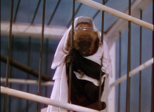 The-Women-1939-Stills-024