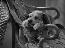 The-Women-1939-Stills-037