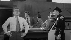 Them-1954-stills-44