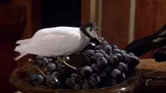 Top-Secret-1984-Stills-25