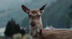 Train-to-Busan-2016-stills-02