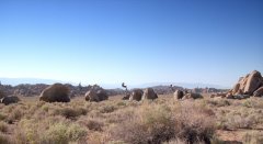 Tremors-1990-stills-18
