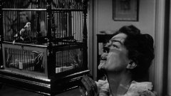 What-Ever-Happened-to-Baby-Jane-1962-stills-09