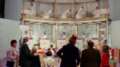 Willy-Wonka-the-Chocolate-Factory-1971-stills-42