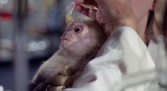 X-The-Man-with-the-Xray-Eyes-1963-stills-06