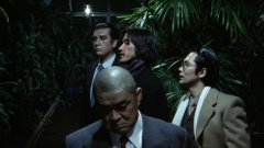 Yokohama-BJ-Blues-1981-stills-45