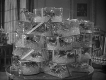 You-Were-Never-Lovelier-1942-stills-47